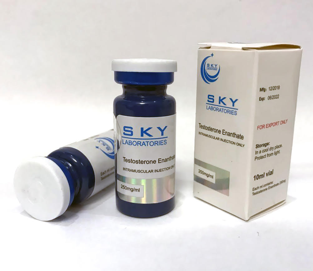 SKY Testo Enan